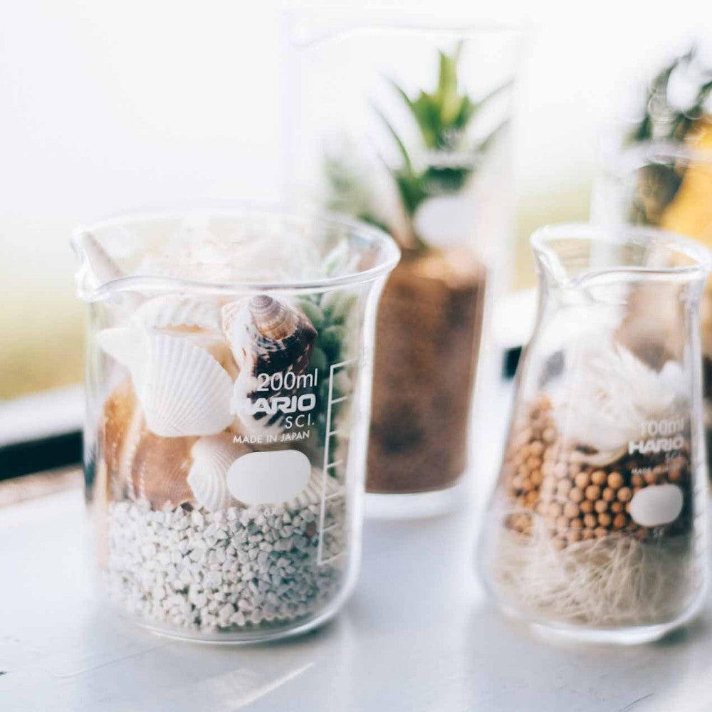 HARIO H-32 ライフスタイル・ラボ ビーカー 200ml B-200-H32 ハリオ